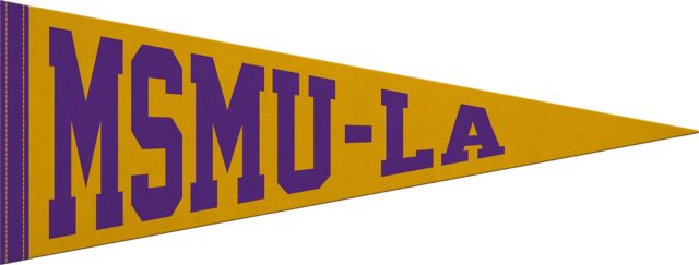 Mount Saint Mary's University 9x24 Pennant